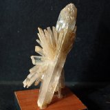 Yeso
9 x 3.5 cm
(Autor: Pedro Antonio)