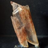 Yeso
9 x 4 cm
(Autor: Pedro Antonio)