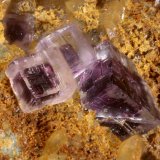 Fluorita
Cristal mayor 1.4 mm
(Autor: Jorgina-Agusti-Màrius)