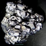 Galena.
60x55 mm.
(Autor: Jesus Franquesa Baucells)