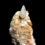 Calcita
10x7cm
(Autor: Obsi)