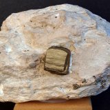 Pirita
10.5 x 7 cm
(Autor: Pedro Antonio)