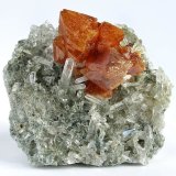 Scheelita, cuarzo
60 mm x 50 mm x 27 mm. Agregado de cristales de scheelita: 35 mm
(Autor: Carles Millan)