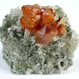 Scheelita, cuarzo
60 mm x 50 mm x 27 mm. Agregado de cristales de scheelita: 35 mm
(Autor: Carles Millan)