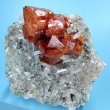 Scheelita, cuarzo
60 mm x 50 mm x 27 mm. Agregado de cristales de scheelita: 35 mm
(Autor: Carles Millan)