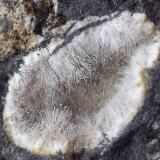Natrolita-Mesolita
Geoda de 1 cm
(Autor: Cristalino)