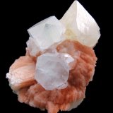 Powellita, apofillita, estilbita
84 mm x 63 mm
(Autor: Carles Millan)