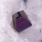 Anatasa
0.4 mm
(Autor: Jorgina-Agusti-Màrius)
