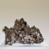 Arsenopirita
4,5 x 3 x 2,5 cm.
(Autor: Raúl S. Llorente)