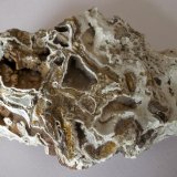 Hidrocincita
7 x 5 cm
(Autor: Cristalino)