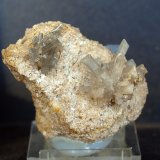Celestina
6.5 x 4.5 cm
(Autor: Pedro Antonio)