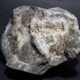 Celestina
8x7 cm
(Autor: Ander Ispizua Juan)