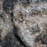 Celestina
8x7 cm
(Autor: Ander Ispizua Juan)