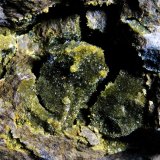 Anapaita
Campo de visión 5 cm.
(Autor: Antonio P. López)