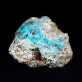 Zapatalita
4 x 4 cm.
(Autor: Antonio P. López)