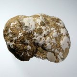 Tinticita
5 x 4 cm.
(Autor: Antonio P. López)
