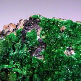 Torbernita
Campo de visión 4 cm.
(Autor: Antonio P. López)