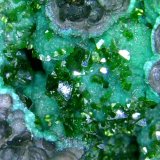 Pseudomalaquita, Libethenita
Campo de visión 2 cm.
(Autor: Antonio P. López)