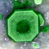 Torbernita
Cristal de 3 mm.
(Autor: Antonio P. López)