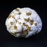 Tinticita
3,5 x 3 cm.
(Autor: Antonio P. López)