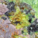 Uranocircita, Ortoclasa
Campo de visión 10 mm.
(Autor: Antonio P. López)