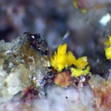 Bergenita
Cristales de hasta 2 mm.
(Autor: Antonio P. López)