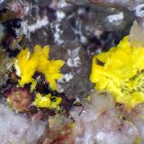 Bergenita
Cristales de hasta 3 mm.
(Autor: Antonio P. López)