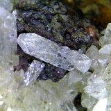 Austinita
Cristal de 1,8 mm.
(Autor: Antonio P. López)