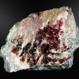 Roselita
10 x 6 cm.
(Autor: Antonio P. López)