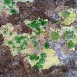 Heinrichita, Metaheinrichita, Abernathyita
Campo de visión 5 mm.
(Autor: Antonio P. López)