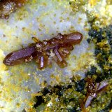 Vanadinita
Cristal de 3 mm.
(Autor: Antonio P. López)