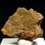 Vanadinita
5 x 4 cm.
(Autor: Antonio P. López)