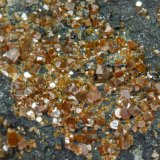 Pucherita, Bismuto
Campo de visión 1 cm.
(Autor: Antonio P. López)