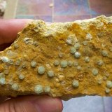 Fluorita
12 x 5 cm
(Autor: Cristalino)