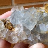 Fluorita
8 x 5 cm
(Autor: Cristalino)