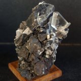 Yeso
8 x 5 cm
(Autor: Pedro Antonio)