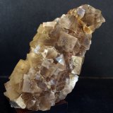 Fluorita
11.5 x 5.5 cm
(Autor: Pedro Antonio)