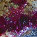 Eritrita (Eritrina).
2´931 x 2´234 mm.
(Autor: Jesus Franquesa Baucells)
