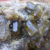 Vesuvianita
Cristales entre 2 y 3 mm.
(Autor: Cristalino)