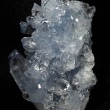 Celestina.
60x45 mm.
(Autor: Jesus Franquesa Baucells)