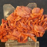 Yeso (variedad rosa de yeso)
6.5 x 4.5 cm
(Autor: Pedro Antonio)