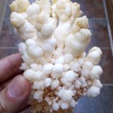 Aragonito, calcita
11 x 7 cm
(Autor: Cristalino)