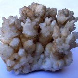 Aragonito, calcita
6 x 6 cm
(Autor: Cristalino)