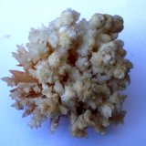 Aragonito, calcita
4 x 4 cm
(Autor: Cristalino)