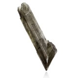 Diasporo
10 x 3,5 x 3 cm
(Autor: Museo MIM)