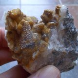 Calcita
5 x 3 cm la zona mineralizada
(Autor: Cristalino)