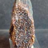 Siderita
7 x 3.5 cm
(Autor: Pedro Antonio)
