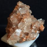 Yeso
7 x 5.5 cm
(Autor: Pedro Antonio)