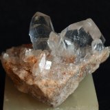 Yeso
6.5 x 4.5 cm
(Autor: Pedro Antonio)