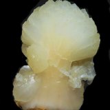 Stilbita-Ca (Estilbita-Ca)
70x50 mm.
(Autor: Jesus Franquesa Baucells)